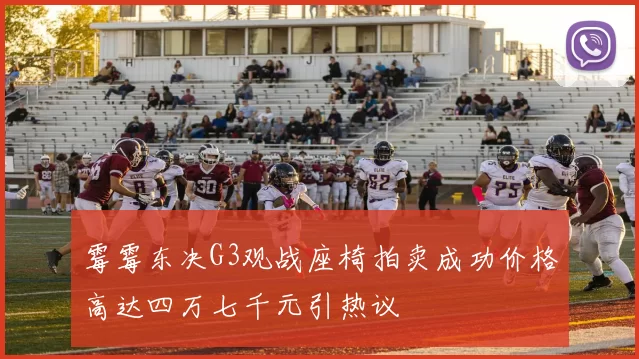 霉霉东决G3观战座椅拍卖成功价格高达四万七千元引热议