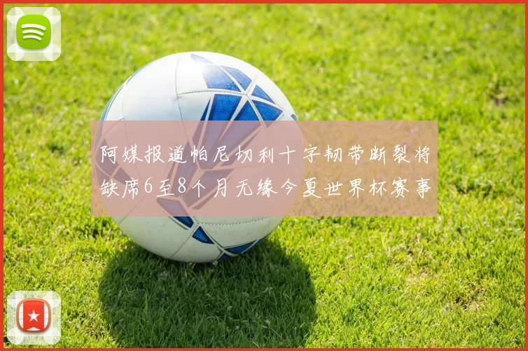 阿媒报道帕尼切利十字韧带断裂将缺席6至8个月无缘今夏世界杯赛事