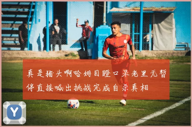 真是猪头啊哈姆目瞪口呆老里无暂停直接喊出挑战完成自杀真相
